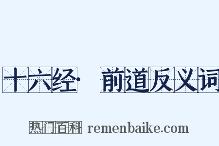 十六经·前道反义词是什么意思的图片